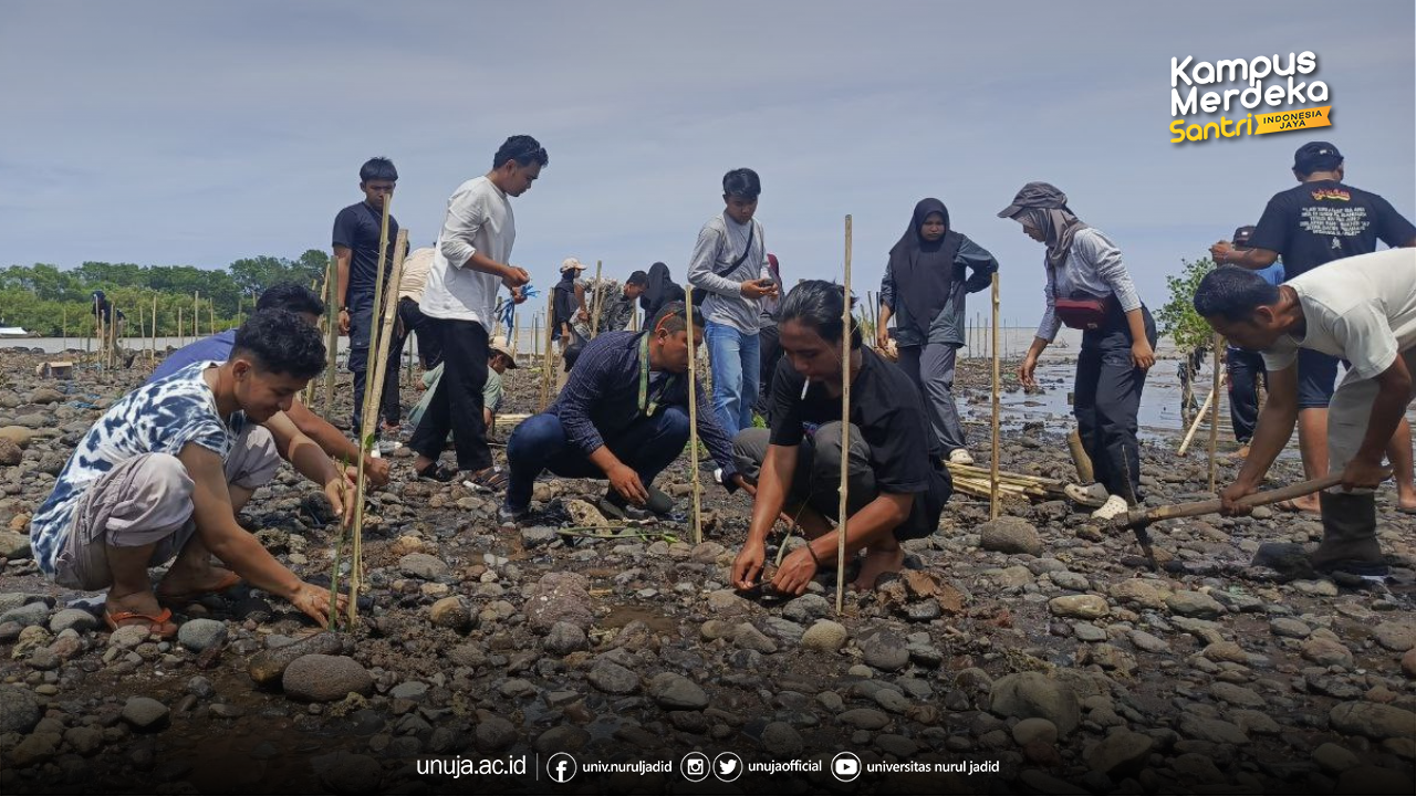 Kolaborasi untuk Pelestarian Lingkungan: Penanaman Pohon Mangrove, Sukun, dan Nangka di Desa Binor